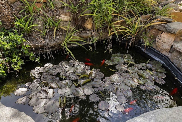 exterior details with a small pond