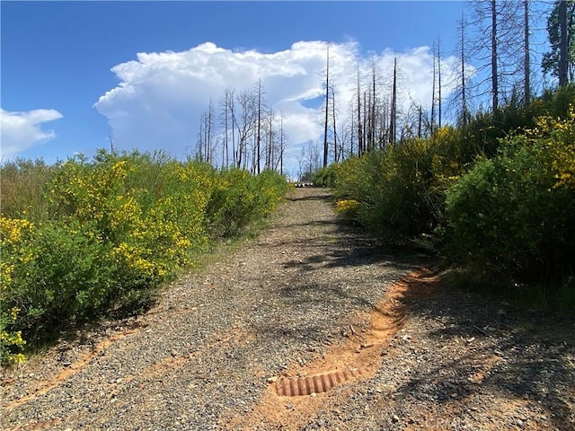 9 Jatko Rd, Berry Creek, CA 95916