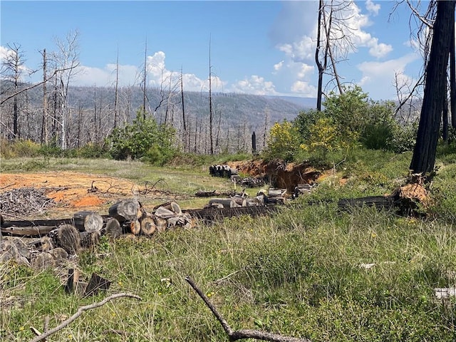 9 Jatko Rd, Berry Creek, CA 95916