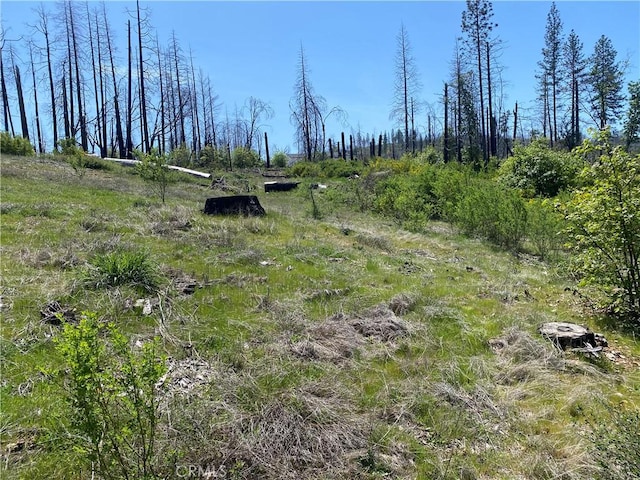 9 Jatko Rd, Berry Creek, CA 95916