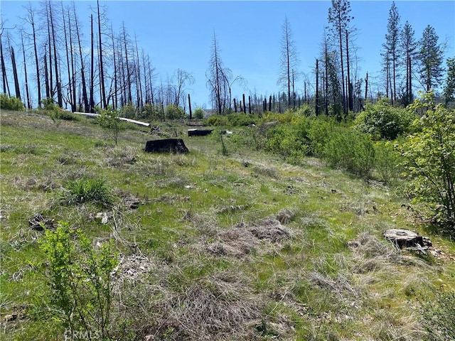 9 Jatko Rd, Berry Creek, CA 95916