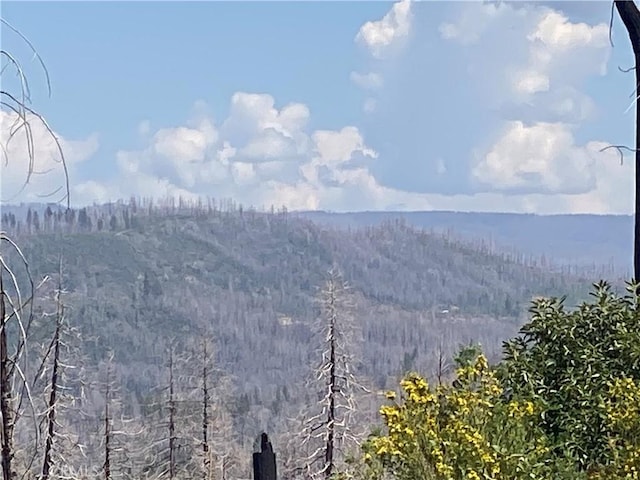 9 Jatko Rd, Berry Creek, CA 95916