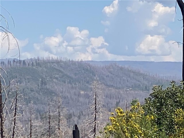 9 Jatko Rd, Berry Creek, CA 95916
