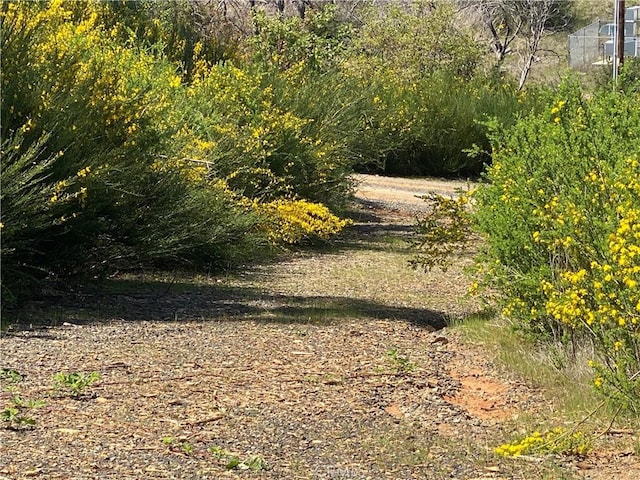 9 Jatko Rd, Berry Creek, CA 95916