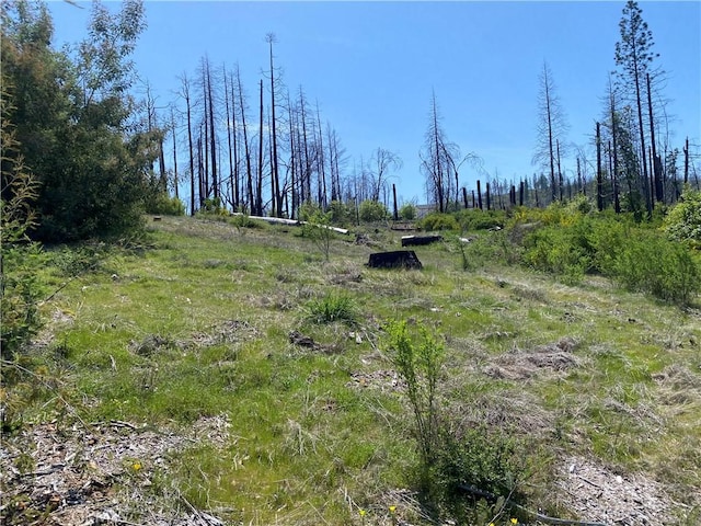 9 Jatko Rd, Berry Creek, CA 95916