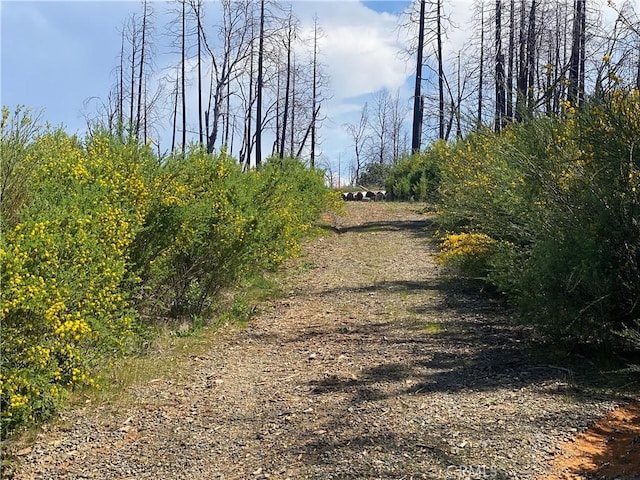 9 Jatko Rd, Berry Creek, CA 95916