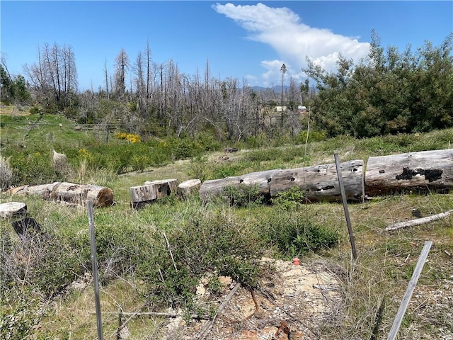9 Jatko Rd, Berry Creek, CA 95916
