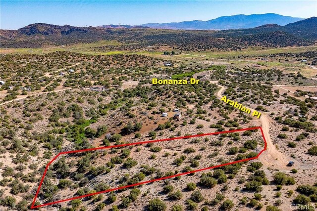 26000 Arabian Pl, Tehachapi, CA 93561 - photo 4