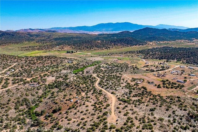 26000 Arabian Pl, Tehachapi, CA 93561 - photo 8