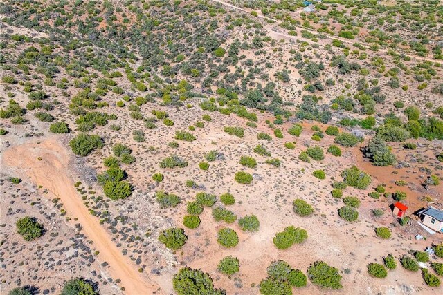 26000 Arabian Pl, Tehachapi, CA 93561 - photo 10