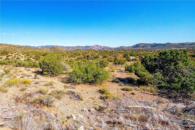 26000 Arabian Pl, Tehachapi, CA 93561 - photo 5