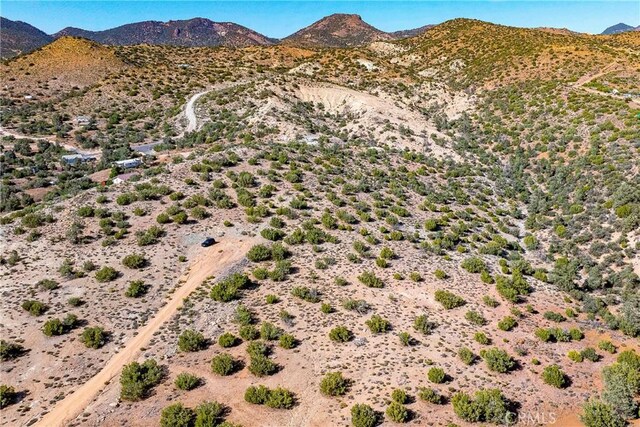26000 Arabian Pl, Tehachapi, CA 93561 - photo 6