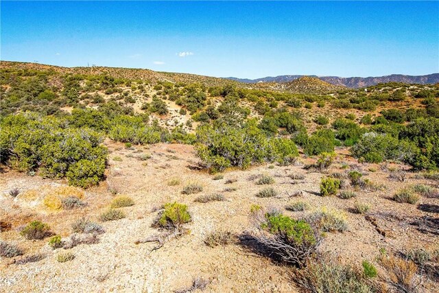 26000 Arabian Pl, Tehachapi, CA 93561 - photo 11