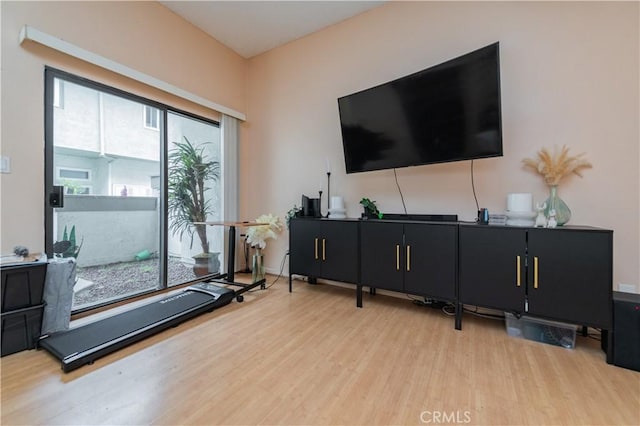 workout room featuring wood finished floors