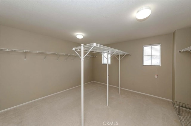 spacious closet featuring light carpet
