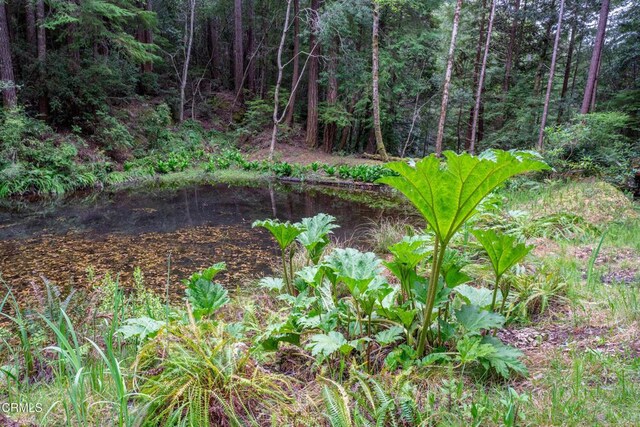 30201 Albion Ridge M Rd, Albion, CA 95410
