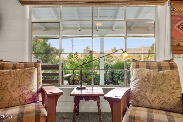 11684 N Ventura Ave, Ojai, CA 93023 - photo 56