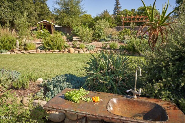 11684 N Ventura Ave, Ojai, CA 93023 - photo 36