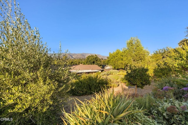 11684 N Ventura Ave, Ojai, CA 93023 - photo 63