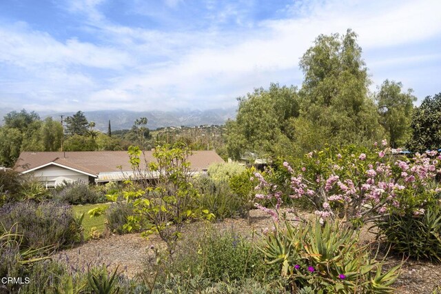 11684 N Ventura Ave, Ojai, CA 93023 - photo 37