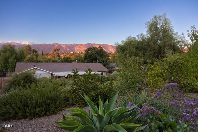 11684 N Ventura Ave, Ojai, CA 93023 - photo 59