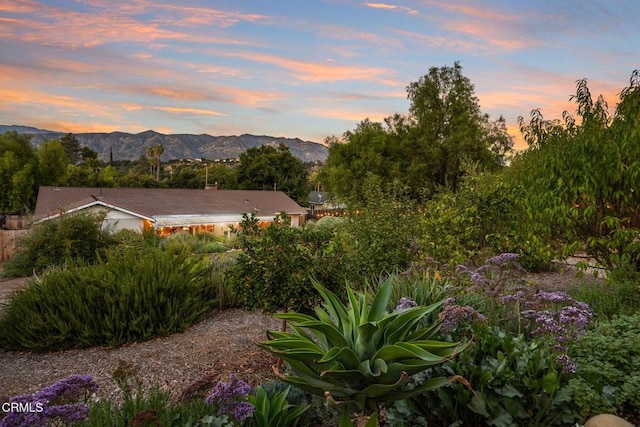 11684 N Ventura Ave, Ojai, CA 93023 - photo 58