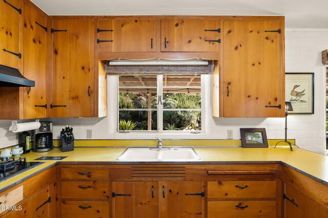 11684 N Ventura Ave, Ojai, CA 93023 - photo 55