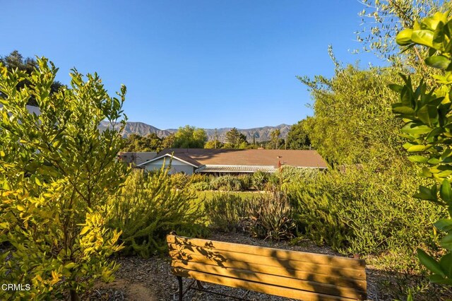 11684 N Ventura Ave, Ojai, CA 93023 - photo 13