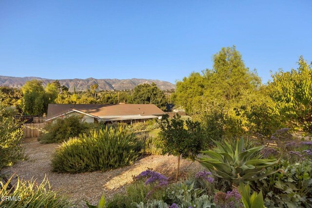 11684 N Ventura Ave, Ojai, CA 93023 - photo 46