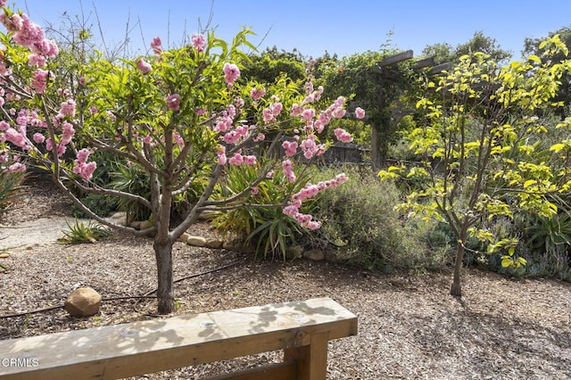 11684 N Ventura Ave, Ojai, CA 93023 - photo 66