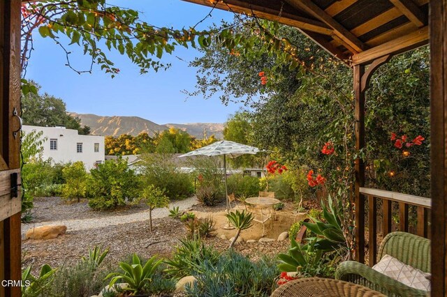 11684 N Ventura Ave, Ojai, CA 93023 - photo 43
