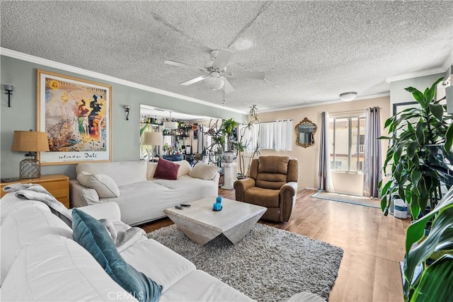 13 Lighthouse Street 13 & 15, Marina Del Rey, CA 90292 - living area featuring wood finished floors, a ceiling fan, ornamental molding, and a textured ceiling