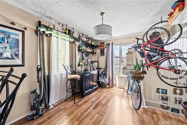 13 Lighthouse Street 13 & 15, Marina Del Rey, CA 90292 - miscellaneous room with a bar, wood finished floors, a textured ceiling, crown molding, and baseboards