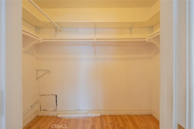 walk in closet with wood finished floors