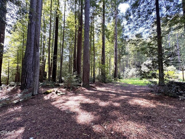 43700 Tibbens Ln, Mendocino, CA 95460 - photo 1