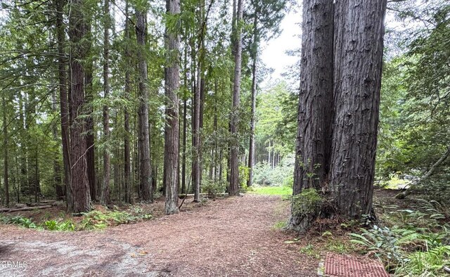 43700 Tibbens Ln, Mendocino, CA 95460 - photo 10
