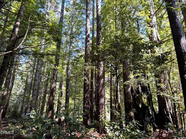 43700 Tibbens Ln, Mendocino, CA 95460 - photo 5