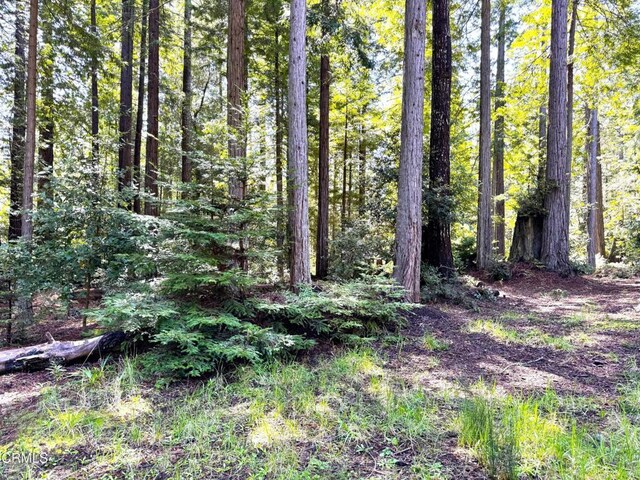 43700 Tibbens Ln, Mendocino, CA 95460 - photo 3