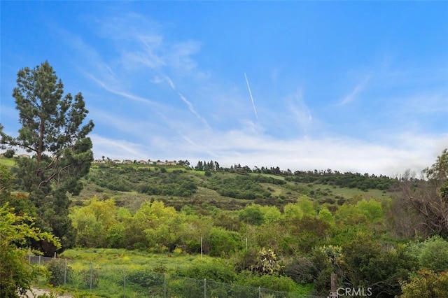 4 Chisholm Trl, Trabuco Canyon, CA 92679 - photo 6