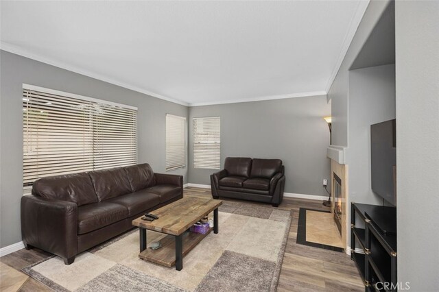 4 Chisholm Trl, Trabuco Canyon, CA 92679 - living area featuring crown molding, light wood-style floors, baseboards, and a fireplace with flush hearth