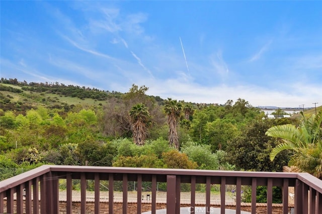 4 Chisholm Trl, Trabuco Canyon, CA 92679 - photo 30