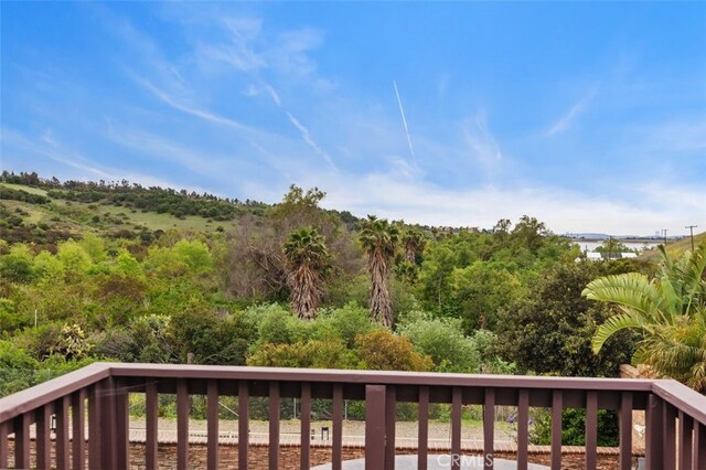 4 Chisholm Trl, Trabuco Canyon, CA 92679 - photo 50
