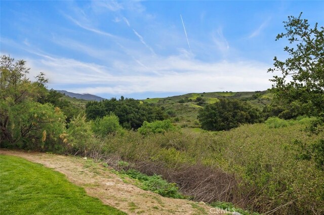 4 Chisholm Trl, Trabuco Canyon, CA 92679 - photo 47