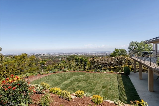 view of yard with a patio