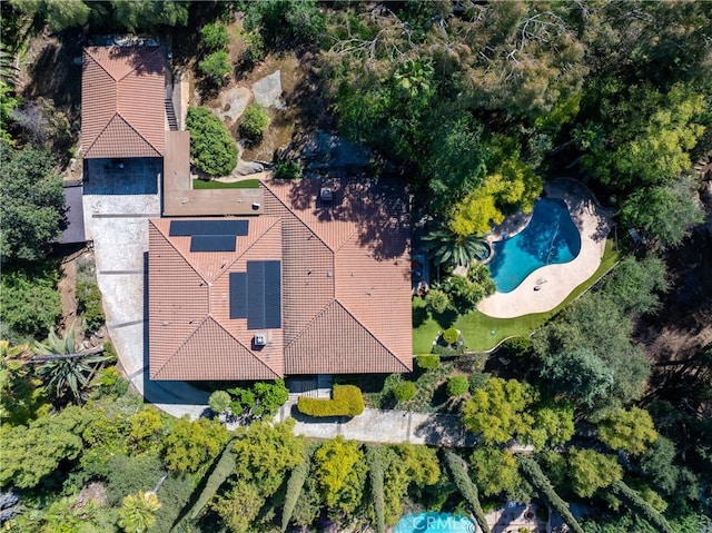 bird's eye view