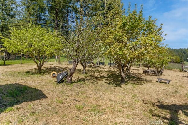 31150 Comptche Ukiah Rd, Comptche, CA 95427 - photo 31