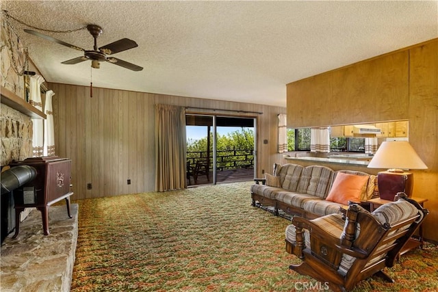 7176 Fairview Ln, Kelseyville, CA 95451 - photo 8