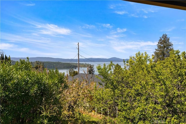 7176 Fairview Ln, Kelseyville, CA 95451 - photo 15