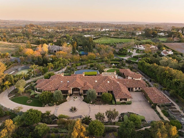 aerial view