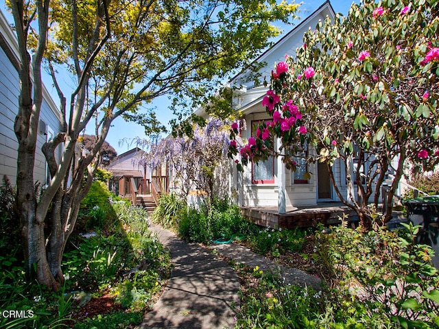 423 N Franklin St, Fort Bragg, CA 95437 - photo 36